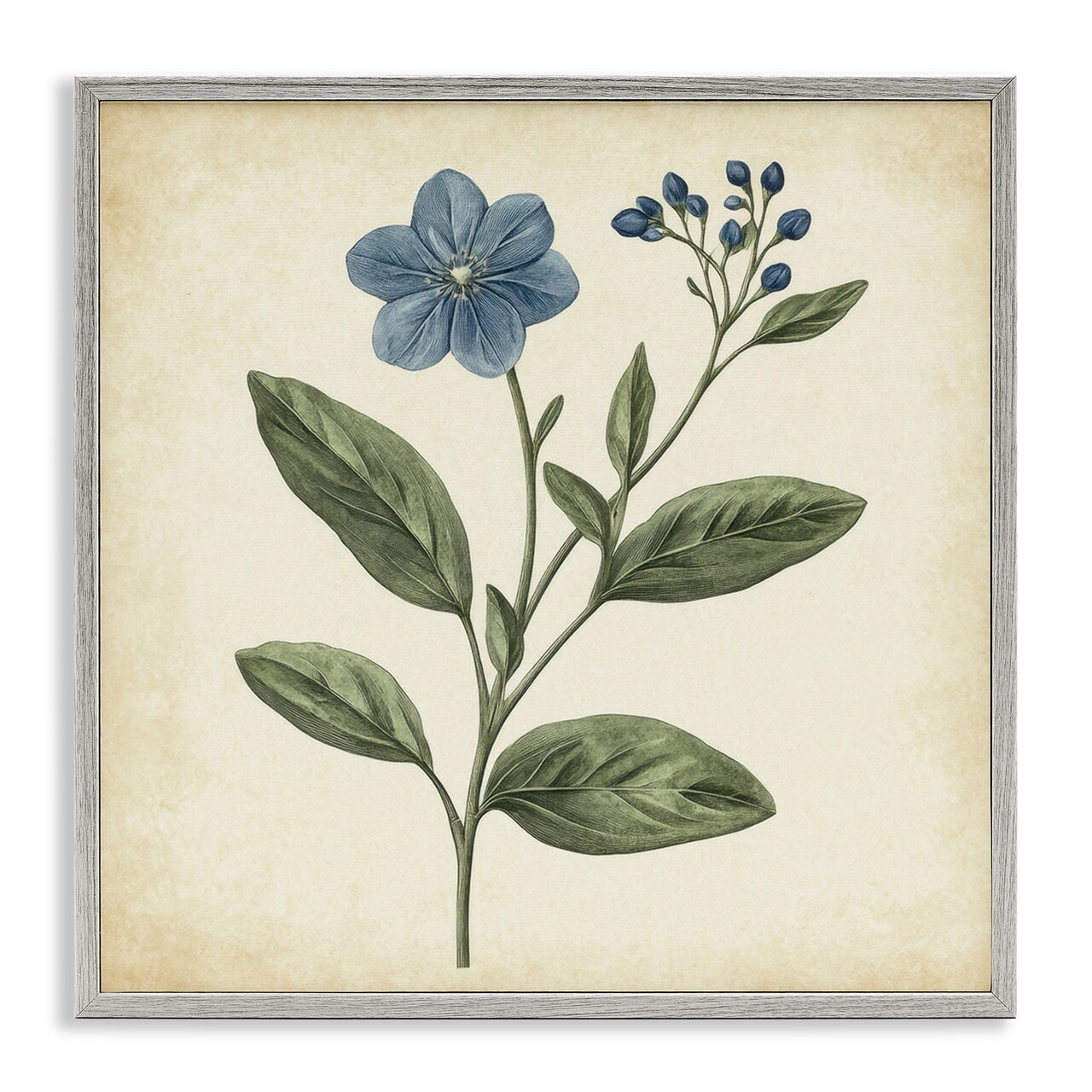 Stupell Industries Vintage Blue Blossoms Wildflower Framed Giclee, design by Petal Prints Design